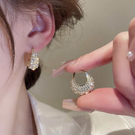 Sample-Luxury Style Earrings